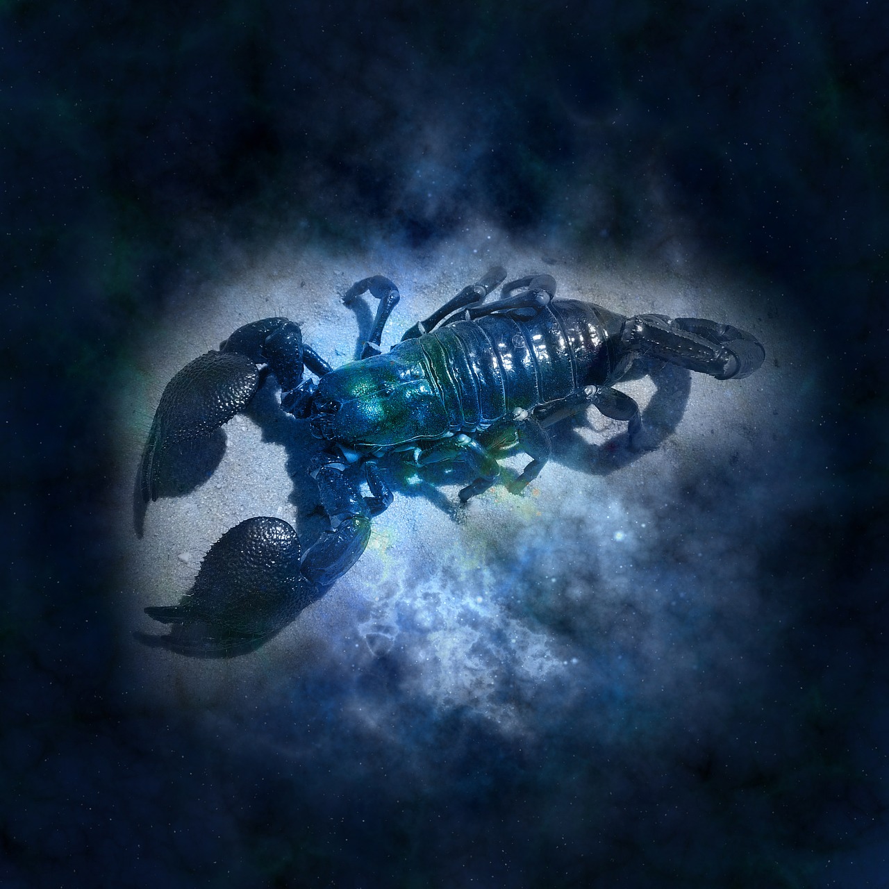 Škorpion ljubavni horoskop riba Ljubavni horoskop