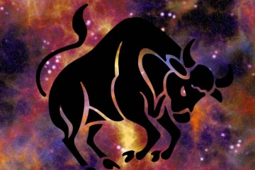 Horoskopski podznak Bik