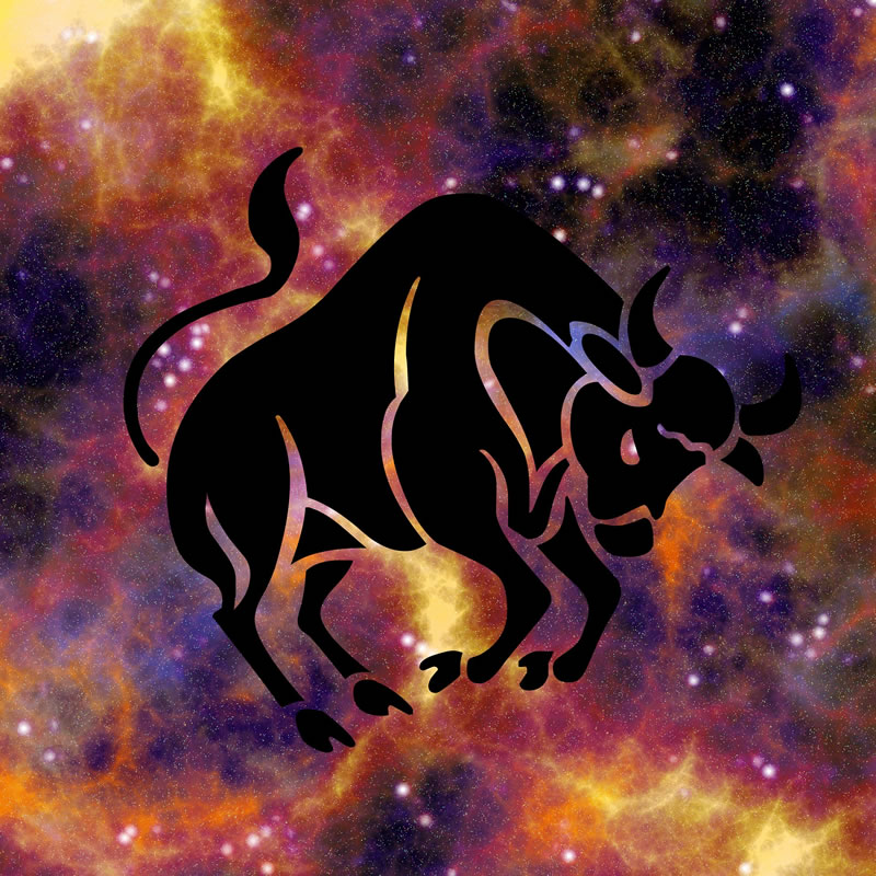 Horoskopski podznak Bik
