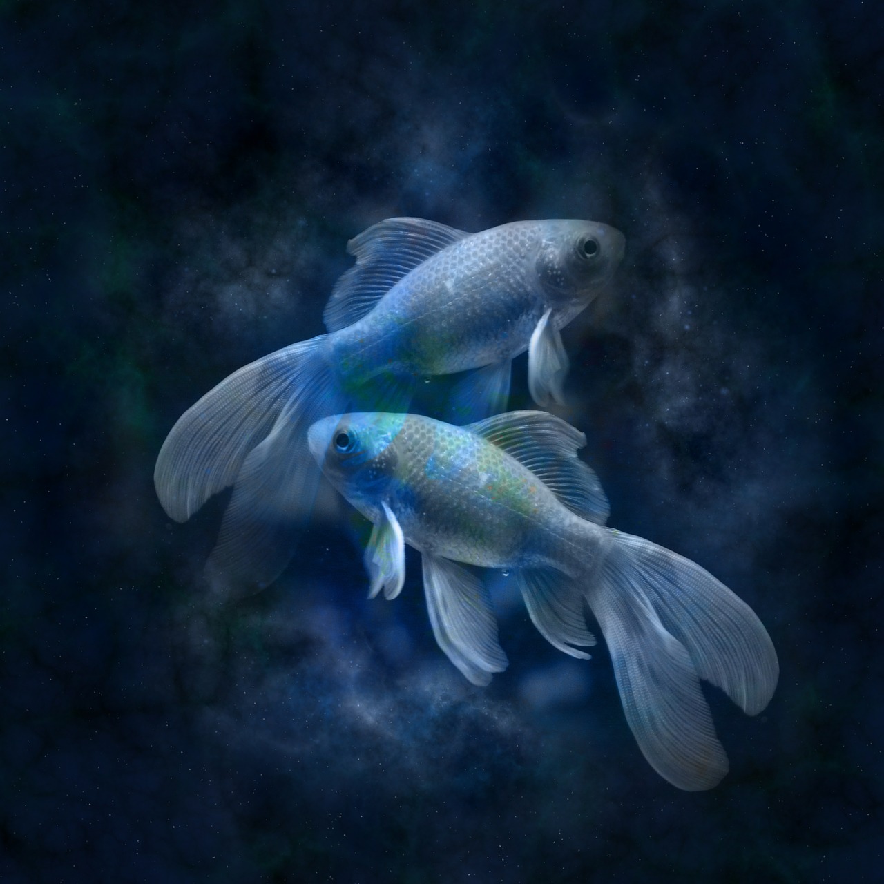 Ljubavni riba horoskopius Mesečni Ljubavni
